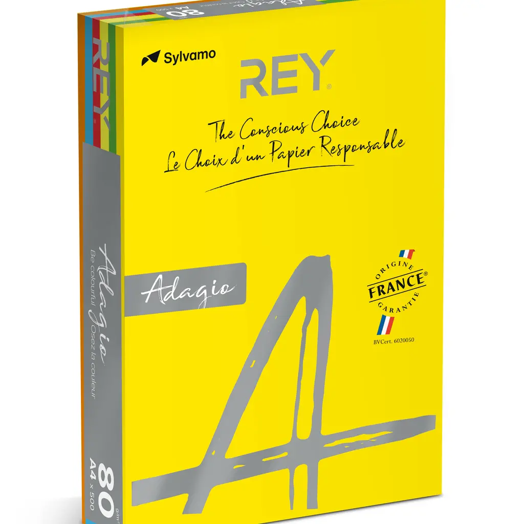 Papir fotokopirni color A4  80gr Rey Adagio intense 500/1 mix barve-2