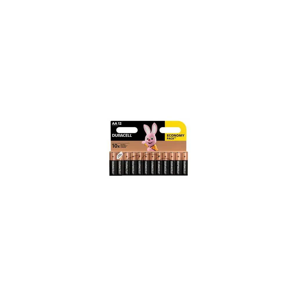Baterija DURACELL AA Basic 12/1-0