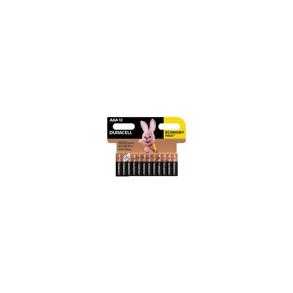 Baterija DURACELL AAA Basic 12/1-0