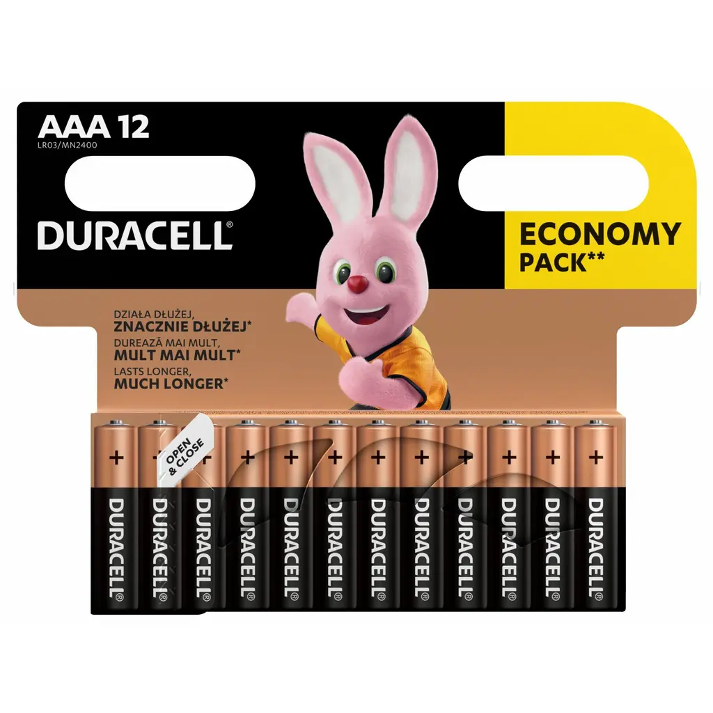 Baterija DURACELL AAA Basic 12/1-2