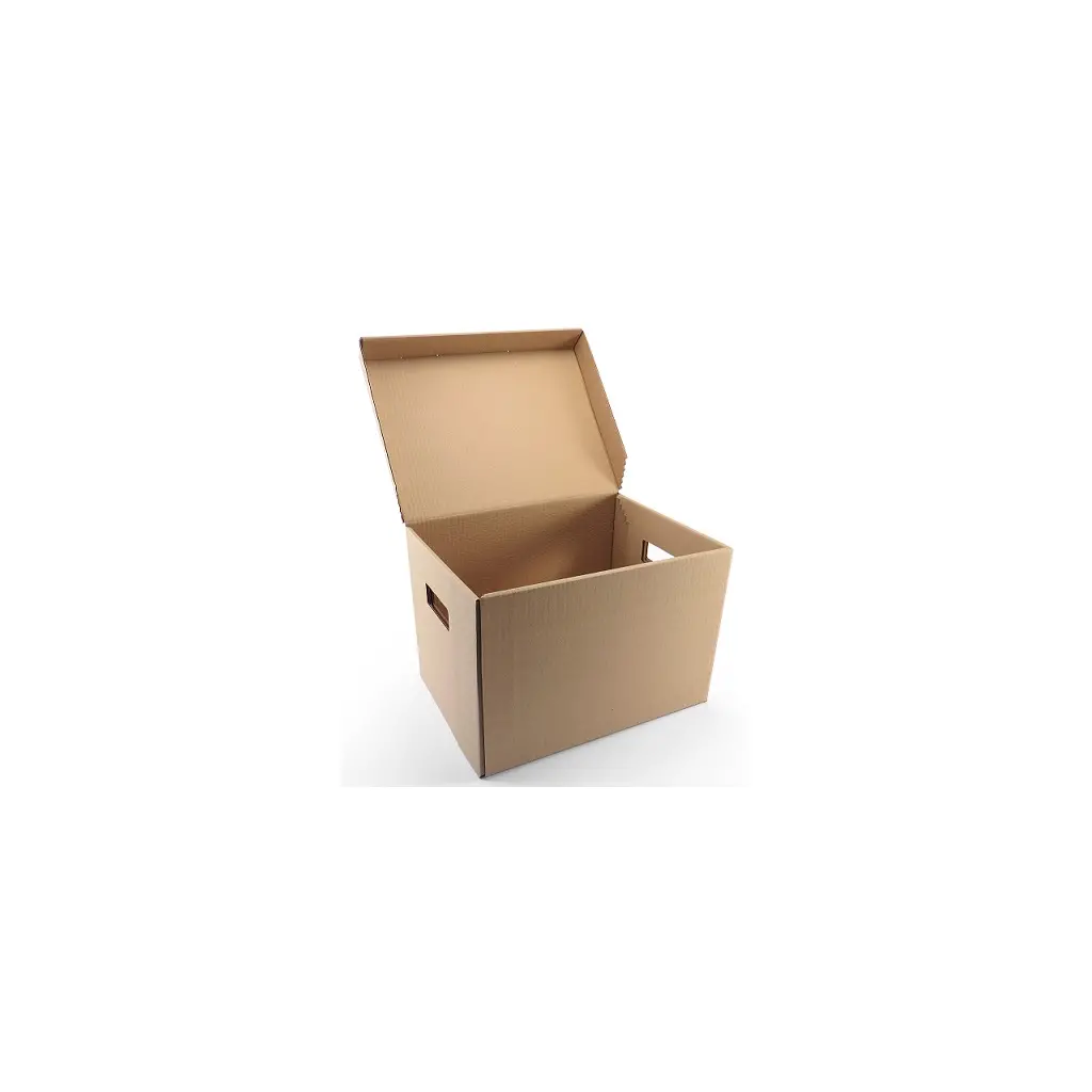 Škatla kartonska arhivska s pokrovom in luknjami za prijem 370x280x260mm tri slojna-0