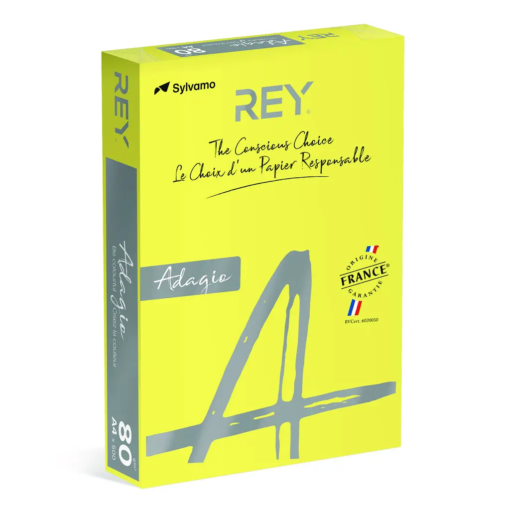Papir fotokopirni color A4  80gr Rey Adagio intensive rumen 66 500/1-2
