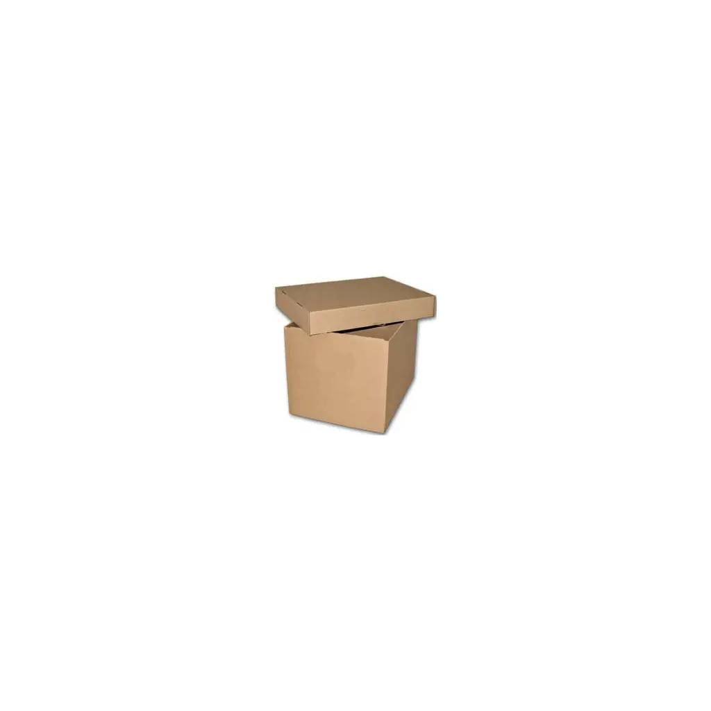 Škatla kartonska arhivska s pokrovom 300x300x400mm troslojna rjava-0