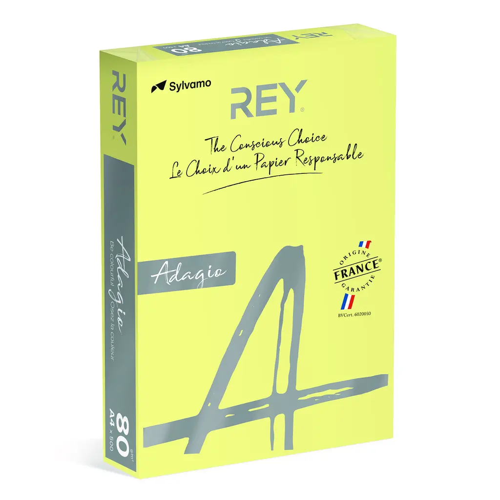 Papir fotokopirni color  A4  80gr Rey Adagio pastel rumen 49 500/1-2