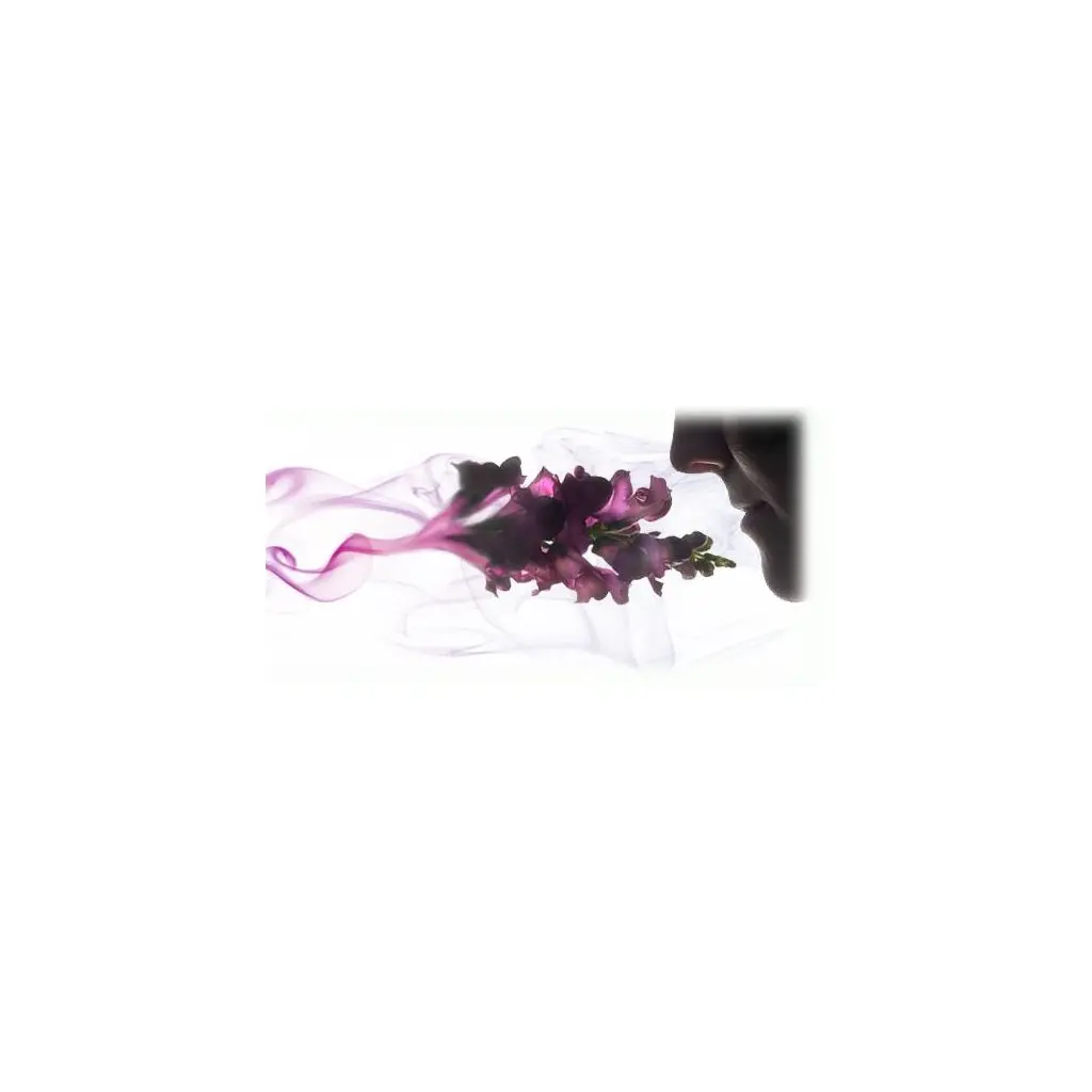 Dišavno olje za difuzor AD1 Fleur De Cotton 100g-0
