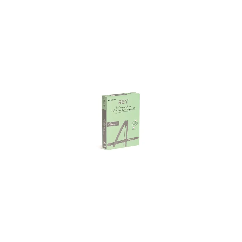 Papir fotokopirni color  A4  80gr Rey Adagio pastel zelen 09 500/1-1