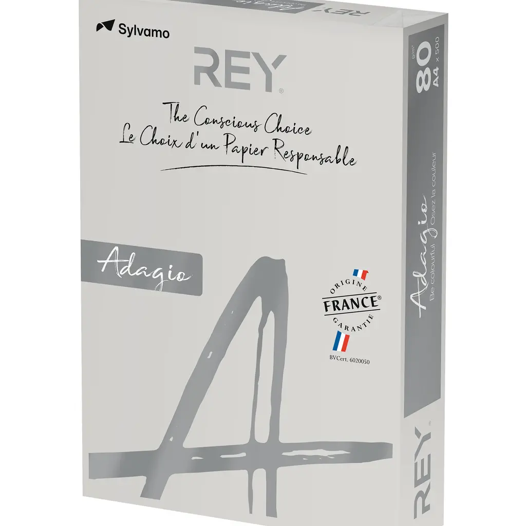 Papir fotokopirni color  A4  80gr Rey Adagio bright siv 06 500/1-0