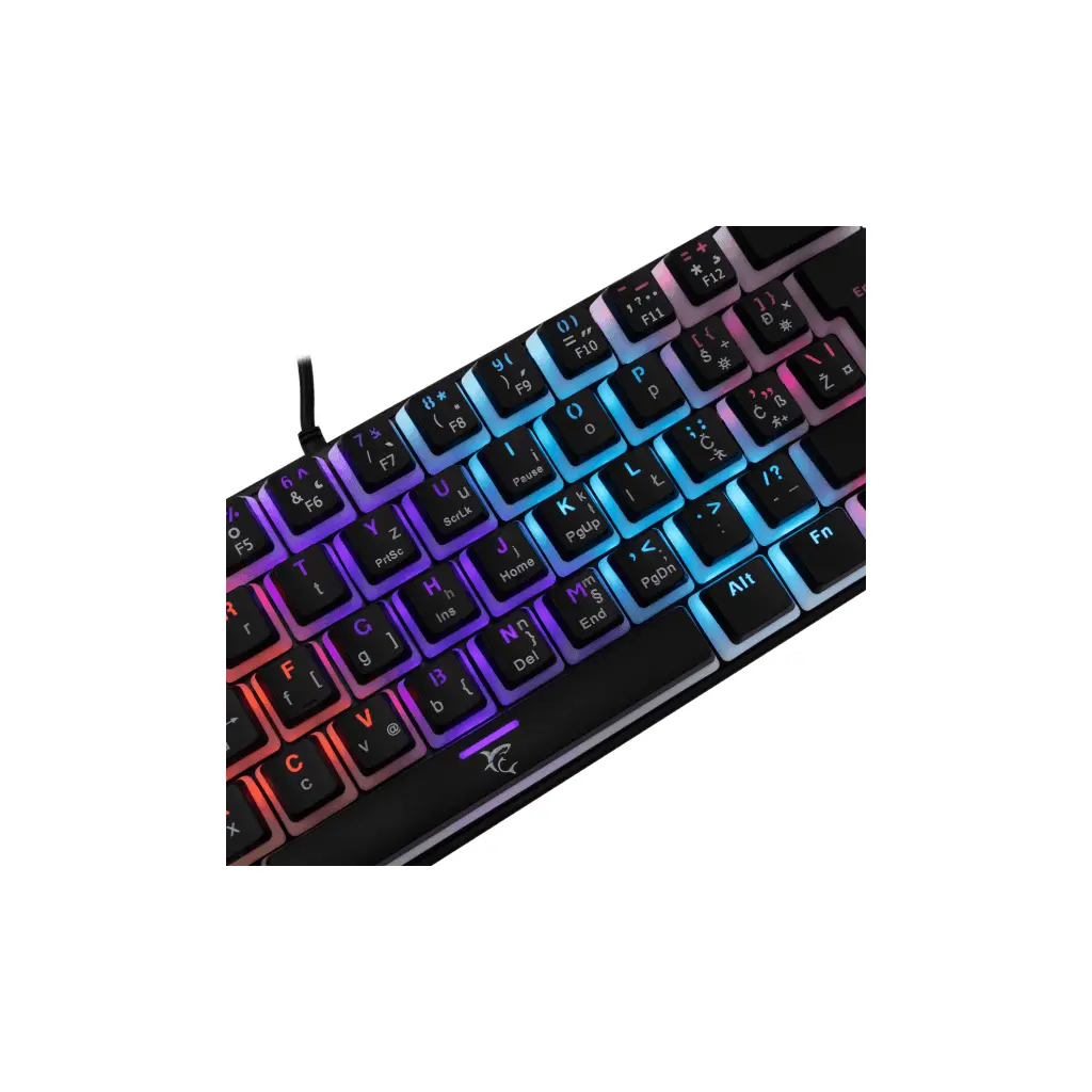 Tipkovnica WHITE SHARK GK-2202 Ashiko plavi switch - crna mehanička HR-1
