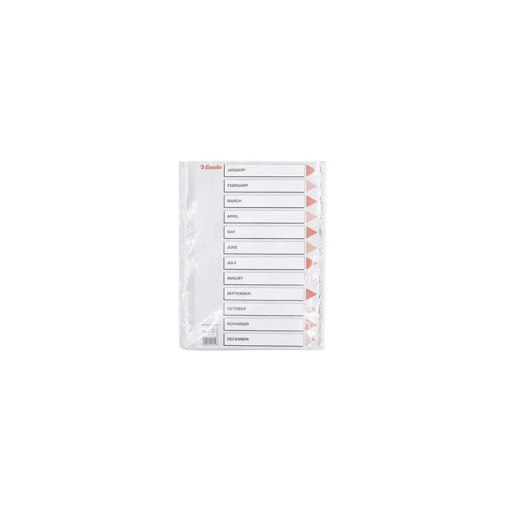 Pregrada PVC A4 mesecev Jan-Dec 12 listov Esselte 100114-1