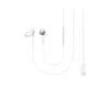 Slušalke z mikrofonom SAMSUNG EO-IC100 USB-C In-ear bele-2