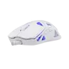 Miš WHITE SHARK WGM-5019 Dagonet - bijeli Wireless-1