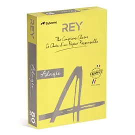 Papir fotokopirni color A4 80gr Rey Adagio intensive rumen 66 500/1 Papir fotokopirni color A4 80gr Rey Adagio intensive rumen 66 500/1