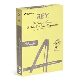 Papir fotokopirni color A4 80gr Rey Adagio pastel rumen 49 500/1 Papir fotokopirni color A4 80gr Rey Adagio pastel rumen 49 500/1