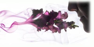 Dišavno olje za difuzor AD1 White Blossom Tea 100g