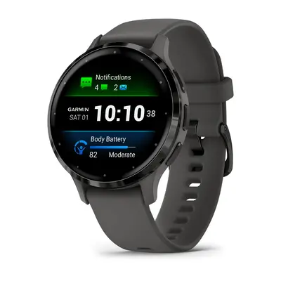 Smart watch GARMIN Venu 3S Pebble Gray Slate