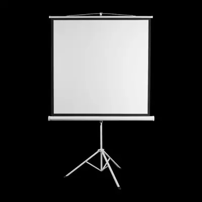 Platno za projektor s stojalom SBOX PSMT-135 - 240x240cm